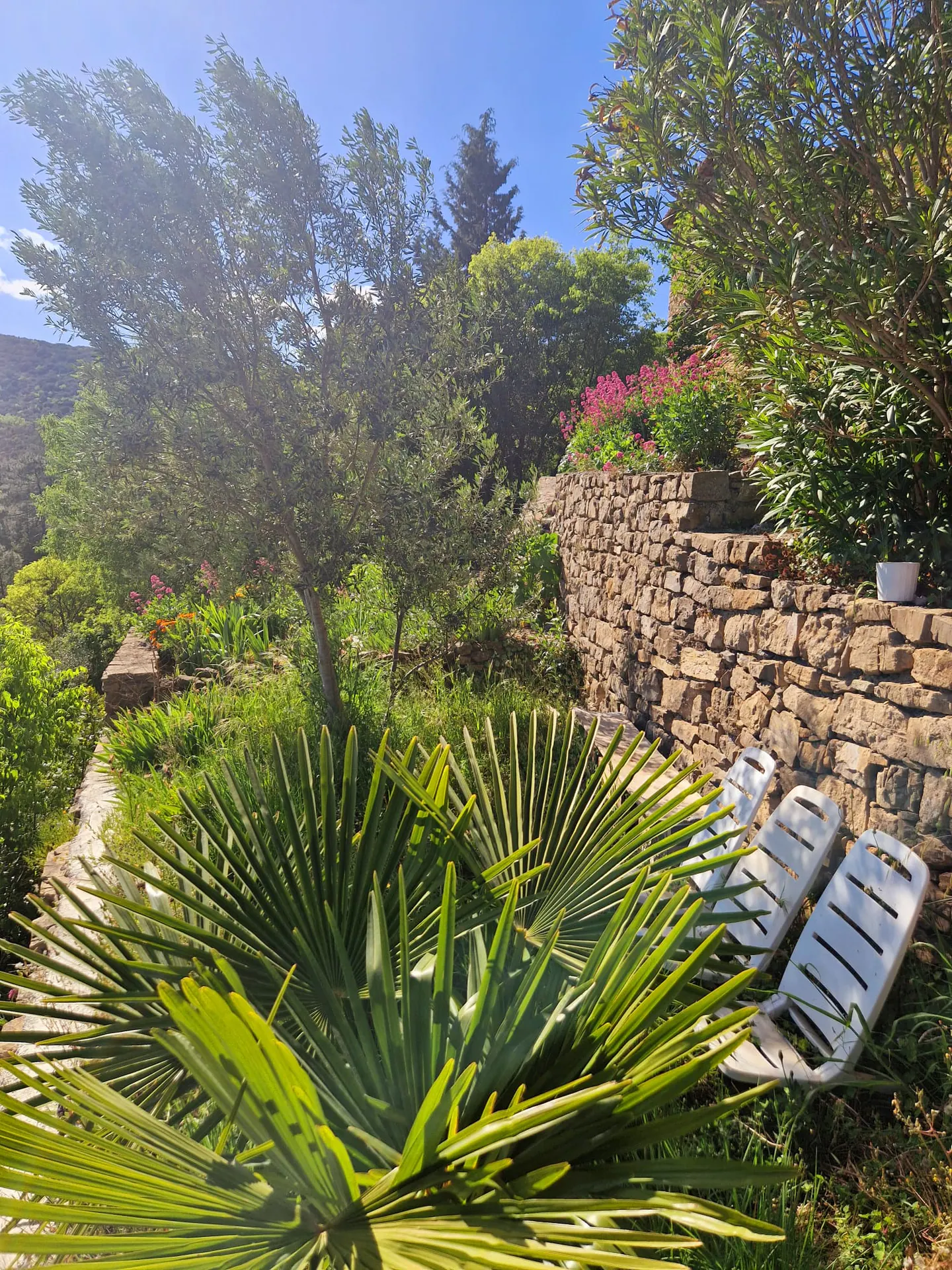 Jardin en restanques